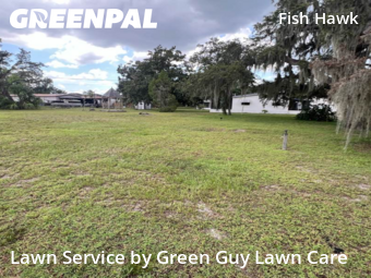 Lawn Mowing Service nearby Lithia, FL, 