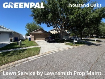 Lawn Care nearby Trinity, FL, 
