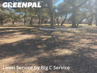 Grass Cut nearby Georgetown, TX, 