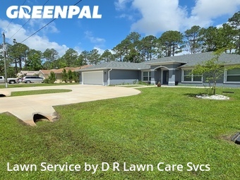 Lawn Mow nearby Palm Coast, FL, 