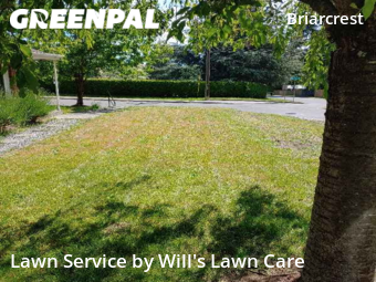 Grass Cut nearby Shoreline, WA, 