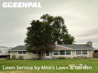 Lawn Mowing nearby Kennewick, WA, 