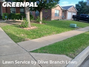 Lawn Mowing Service nearby Blue Mound, TX, 