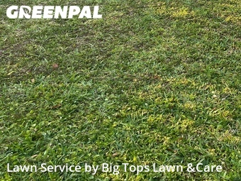 Lawn Care nearby Longwood, FL, 