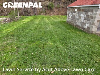 Grass Cutting nearby Bridgeville, PA, 