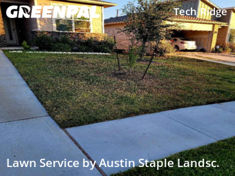 Lawn Upkeep in Pflugerville, 78660, Lawn Cutting by Austin Staple Landsc., work completed in Nov , 2025