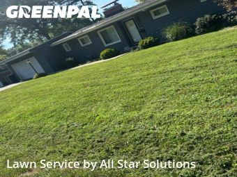 Yard Mowingin Belleville,62226,Lawn Mowing by All Star Solutions, work completed in Jan , 2026