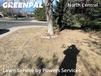 Work completed by yard-maintenance-professionals-in-Westminster-CA