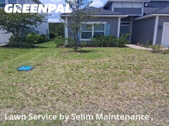 Grass Cutting nearby St. Augustine, FL, 