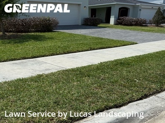 Landscaping Cleanup In Palm Bay,32908,Landscapers by Lucas Landscaping , work completed in Jul , 2026
