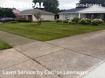 Lawn Mowing Service nearby Springfield, OH, 