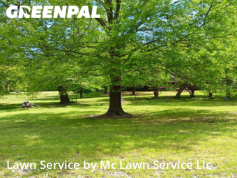 Lawn Mowing nearby Madison, MS, 