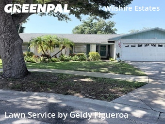 Lawn Mow nearby Dunedin, FL, 