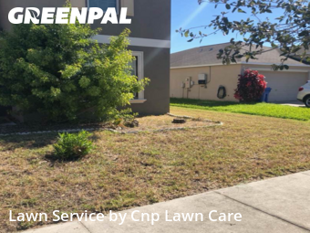 Yard Grooming in Ruskin, 33570, Lawn Maintenance by Cnp Lawn Care, work completed in Nov , 2025