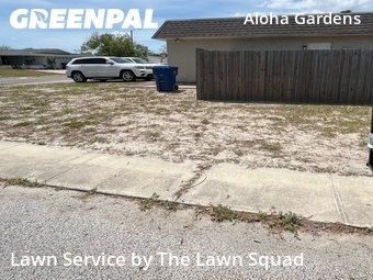 Lawn Maintenance nearby Holiday, FL, 
