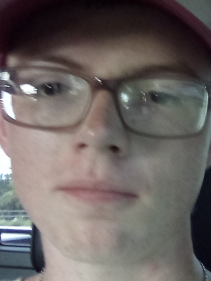 landscaping-installation