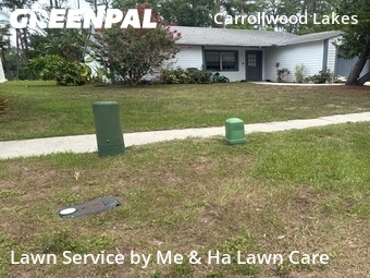 Grass Cuttingin Tampa,33625,Lawn Cut by Me & Ha Lawn Care, work completed in Jun , 2026