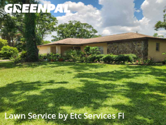 Lawn Mowing Service nearby Tampa, FL, 