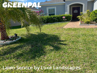 Yard Cutting nearby Minneola, FL, 