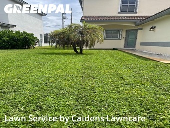 Lawn Maintenancein Pembroke Pines,33029,Lawn Cutting by Caidens Lawncare , work completed in Jan , 2026