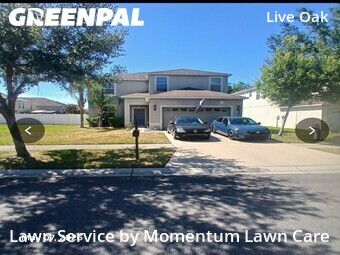 Grass Cut nearby Tampa, FL, 