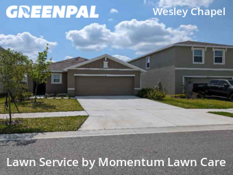 Lawn Mowing Service nearby Wesley Chapel, FL, 