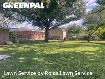 Lawn Maintenance nearby San Juan, TX, 