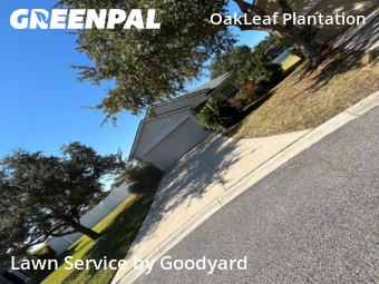 Grass Cutin Orange Park,32065,Grass Cut by Goodyard , work completed in Feb , 2026