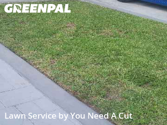 Yard Mowing nearby Hollywood, FL, 