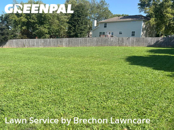 Yard Cutting nearby Spring Hill, TN, 