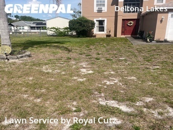 Lawn Mow nearby Deltona, FL, 