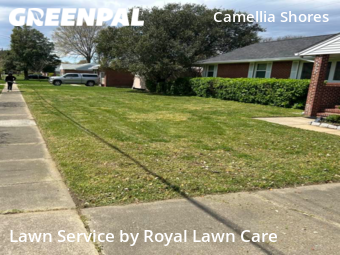 Grass Cut nearby Norfolk, VA, 