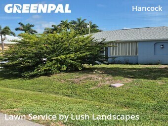 Lawn Cutting nearby Cape Coral, FL, 