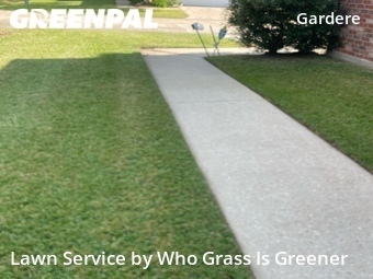 Landscaping Maintenance In Baton Rouge,70810,Landscaping Services by Who Grass Is Greener, work completed in Jul , 2026