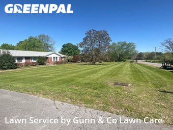 Lawn Cutting nearby Nashville, GA, 