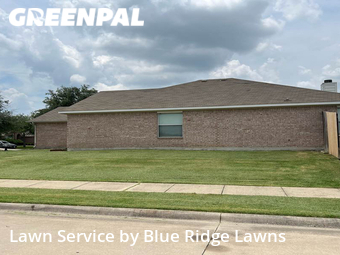 Lawn Cut nearby Princeton, TX, 