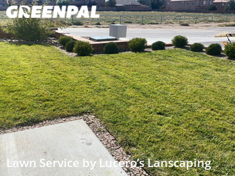 Lawn Cut nearby Albuquerque, NM, 
