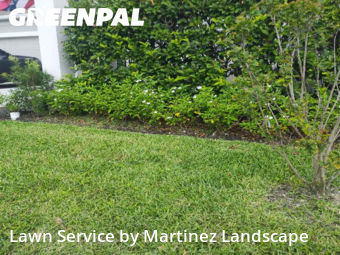 Yard Work in Horizon West, 34786, Yard Cutting by Martinez Landscape, work completed in Dec , 2025