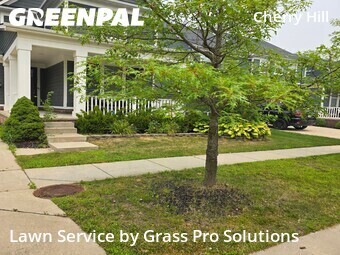 Grass Cutting nearby Canton, MI, 