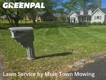 Lawn Mow nearby Murfreesboro, TN, 