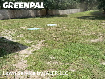 Lawn Cut nearby Parrish, FL, 