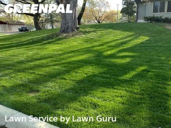 Lawn Mowing Service nearby Minneapolis, MN, 