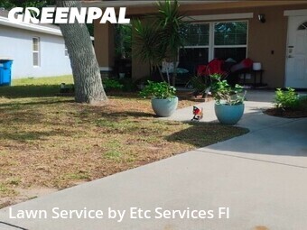 Lawn Mowing Servicein Clearwater,33755,Yard Cutting by Etc Services Fl, work completed in Jun , 2026
