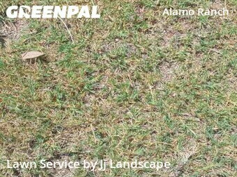 Lawn Mowing nearby San Antonio, TX, 