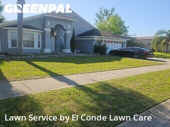 Grass Cutting nearby Buena Ventura Lakes, FL, 