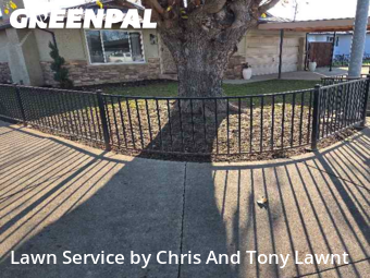 yard-maintenance-professionals-in-Manteca-CA