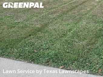 Lawn Care nearby The Colony, TX, 