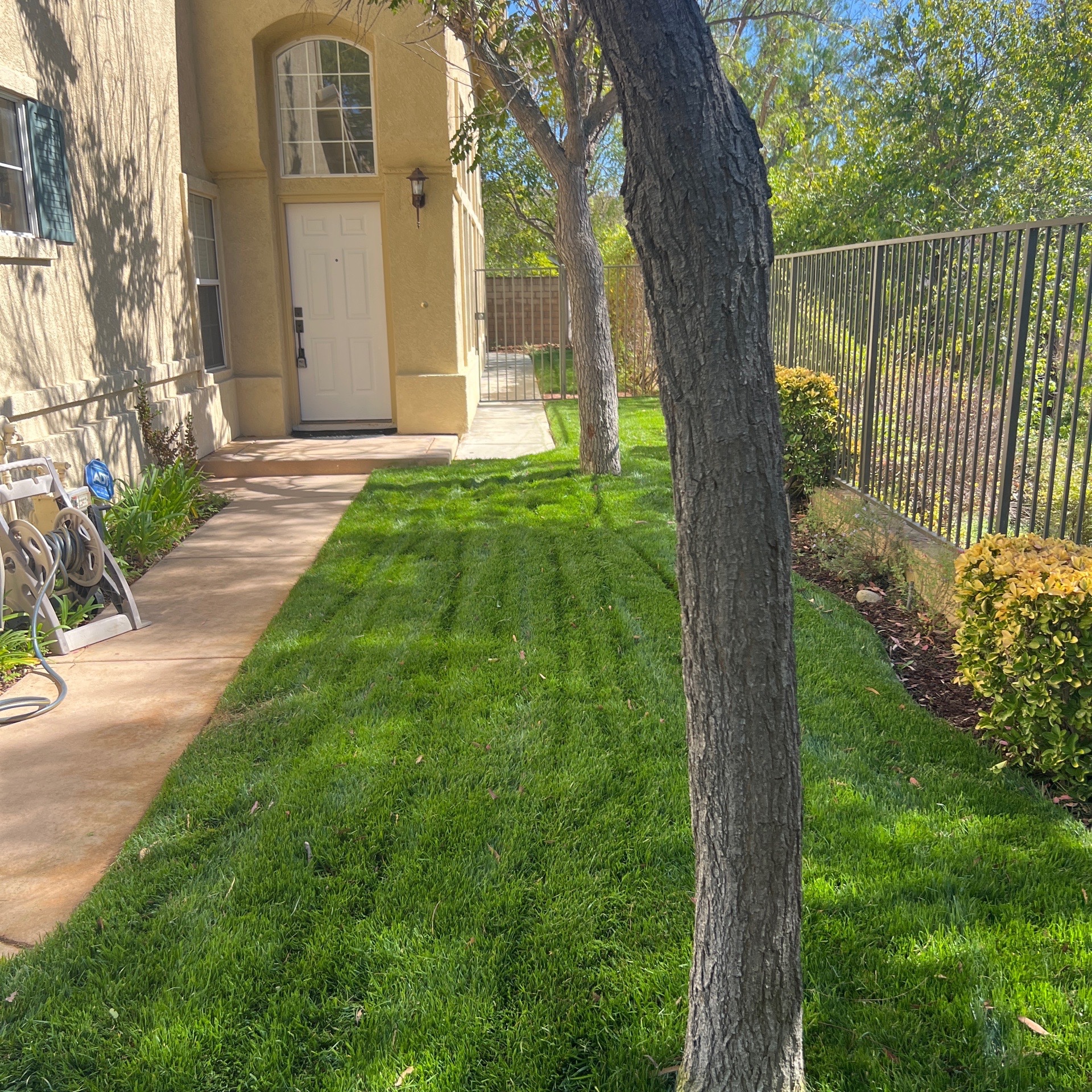 Lawn mowing work by Jp Landscaping in San Buenaventura, CA