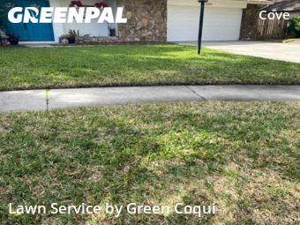 Lawn Care nearby Tampa, FL, 
