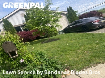 Lawn Care nearby Willow Grove, PA, 